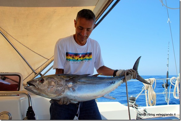 Il tonno da 15 kg pescato alla traina